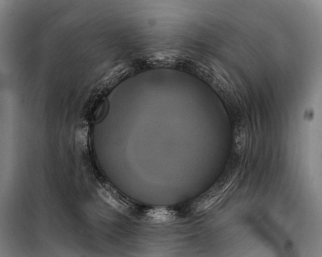 X0000101160231200807111036