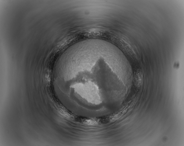 X0000101160232200807111036