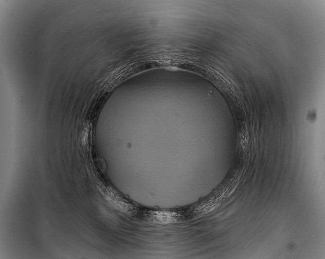 X0000101160233200807111036