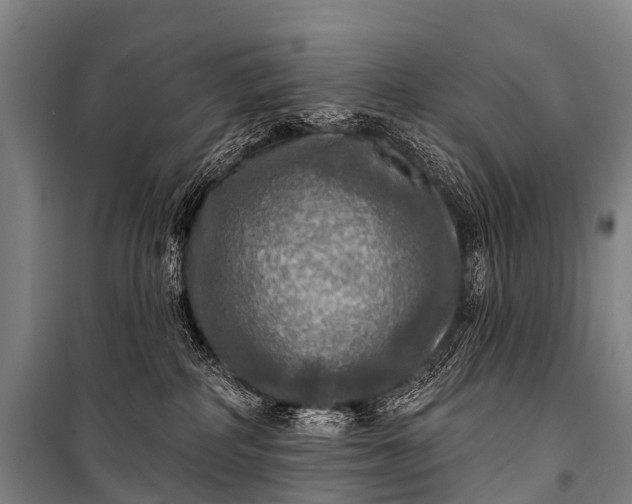 X0000101160234200807111036