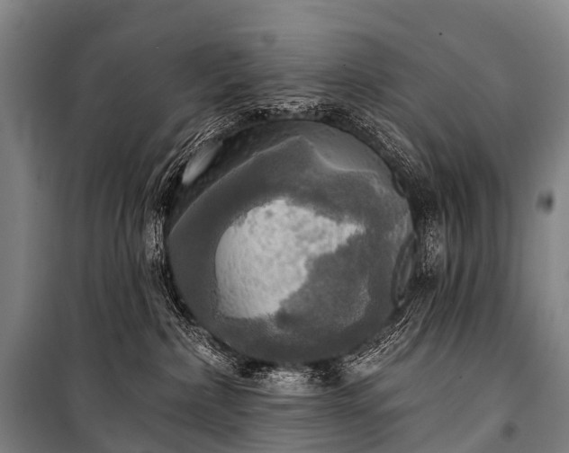 X0000101160236200807111036