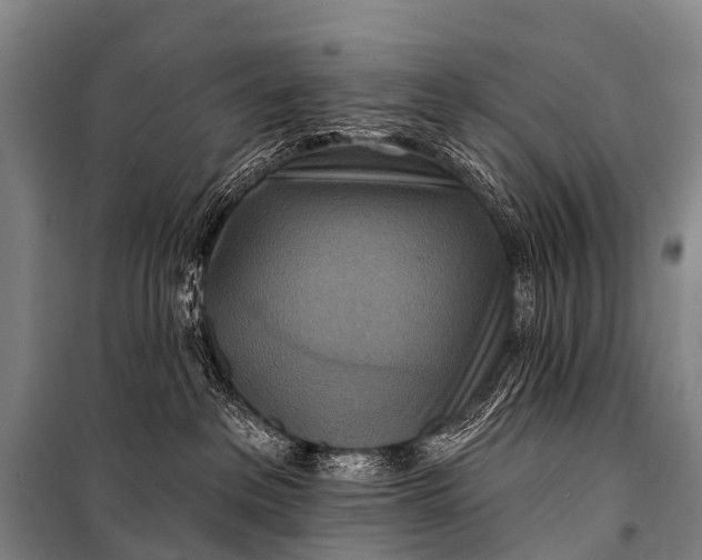 X0000101160237200807111036