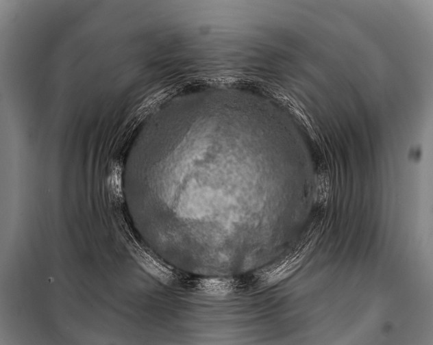 X0000101160238200807111036