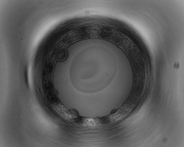 X0000101160239200807111036