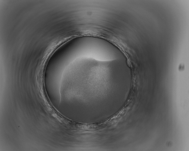 X0000101160241200807111035