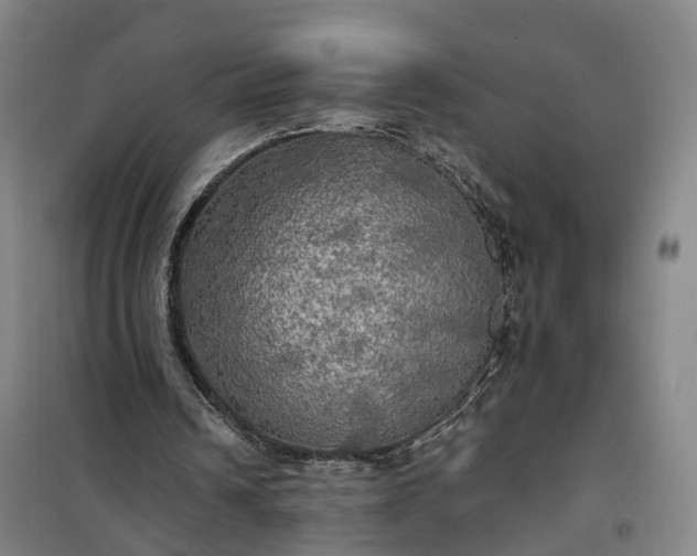 X0000101160242200807111035