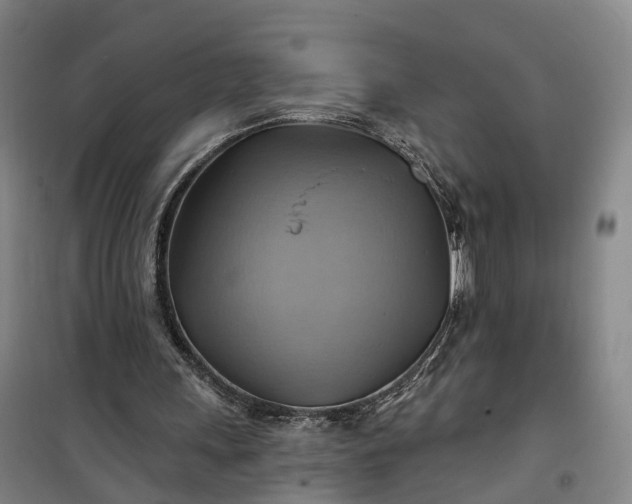 X0000101160243200807111035