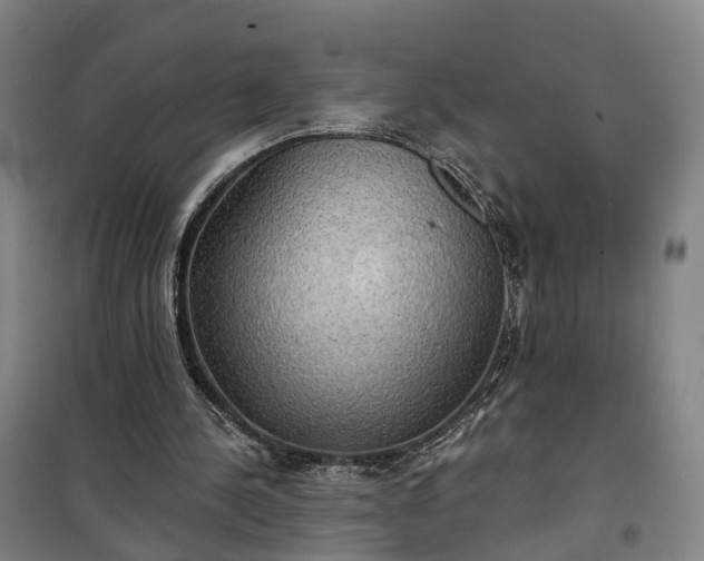 X0000101160244200807111035