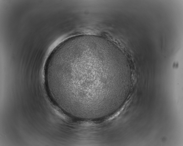 X0000101160246200807111035