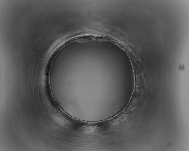 X0000101160247200807111035