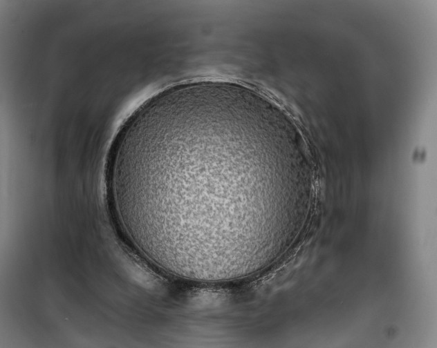 X0000101160248200807111035