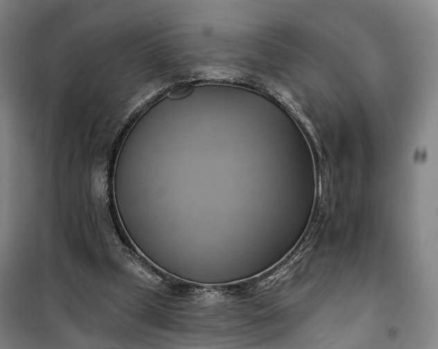 X0000101160249200807111035