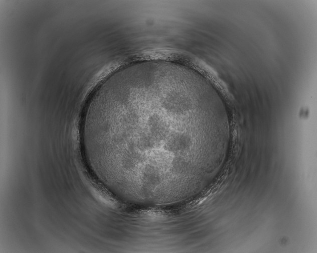 X0000101160250200807111035