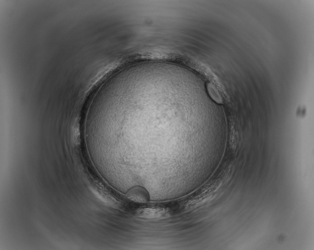 X0000101160251200807111035