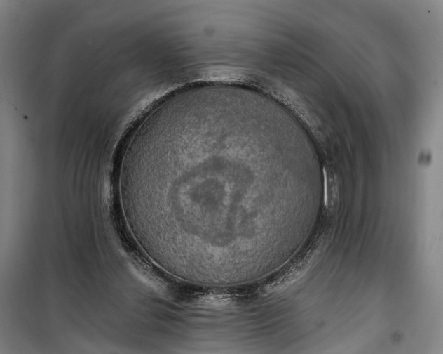 X0000101160252200807111035