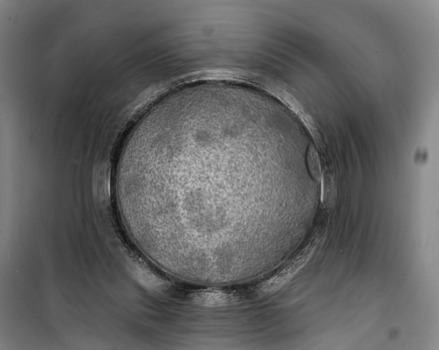 X0000101160253200807111035