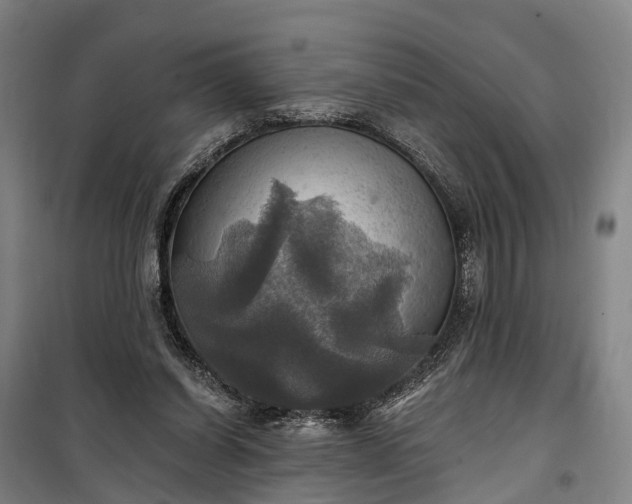 X0000101160254200807111035