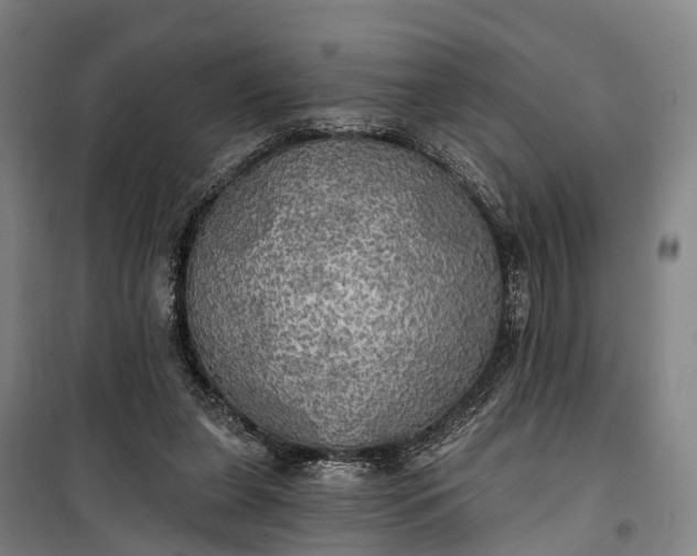 X0000101160255200807111035