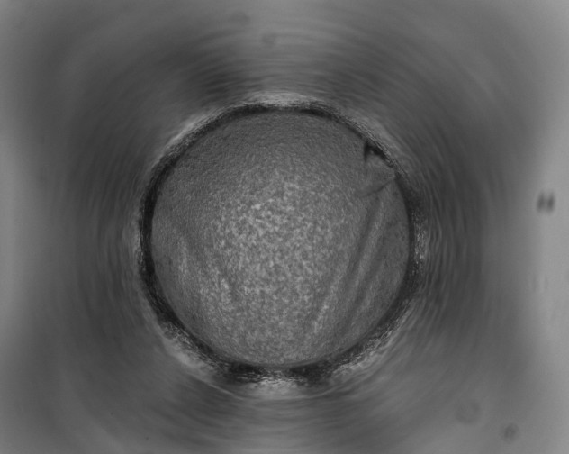 X0000101160256200807111035