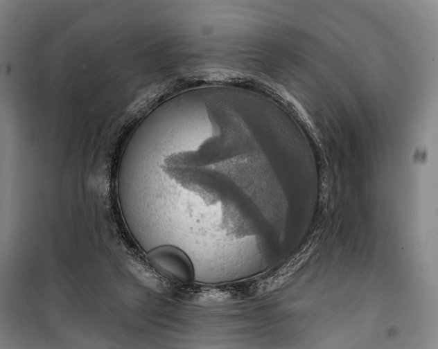 X0000101160257200807111035