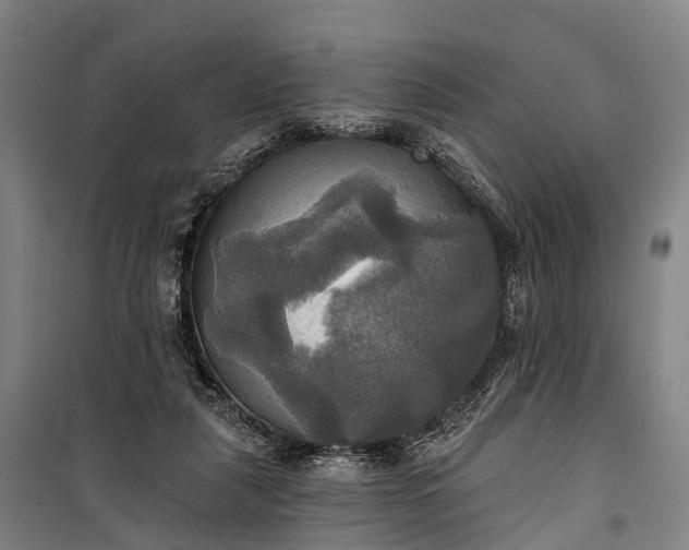 X0000101160259200807111036