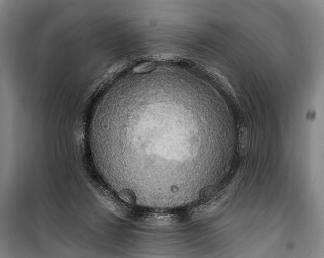 X0000101160260200807111036