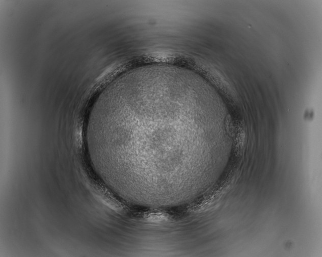 X0000101160262200807111036