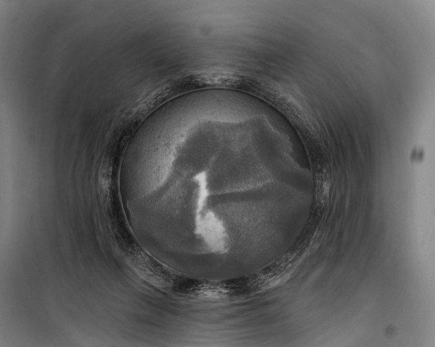 X0000101160263200807111036