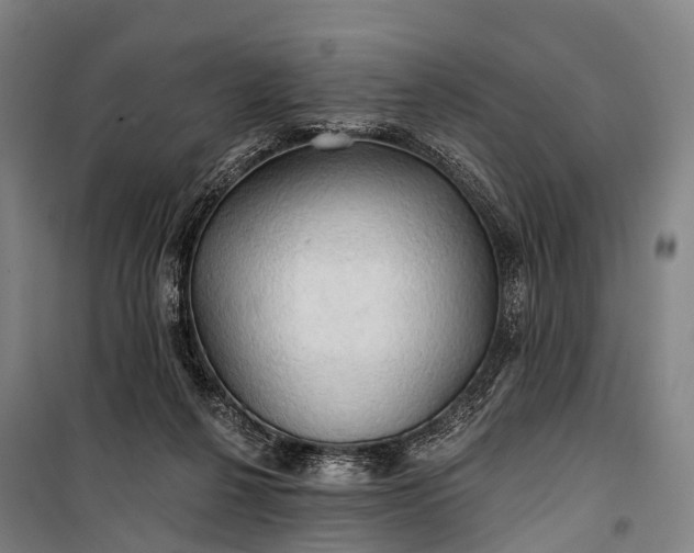 X0000101160264200807111036