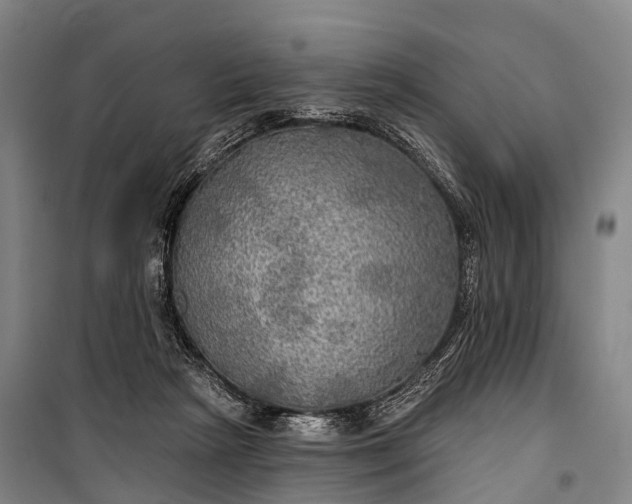 X0000101160265200807111036