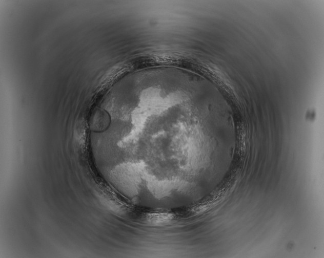 X0000101160266200807111036