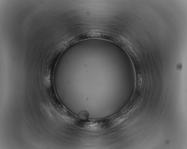 X0000101160267200807111036