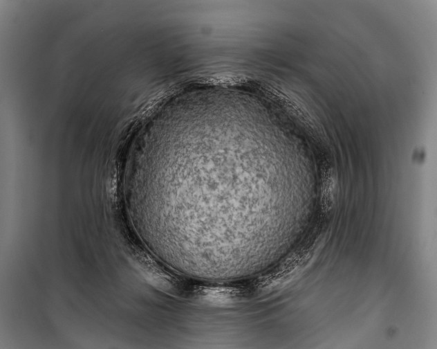 X0000101160268200807111036