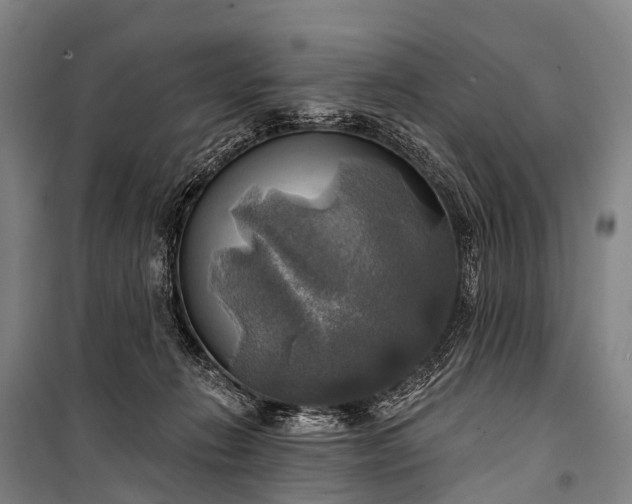 X0000101160270200807111036