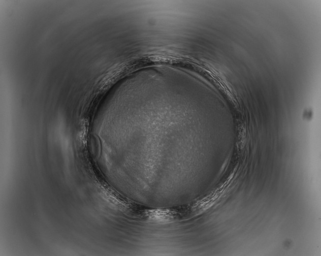 X0000101160273200807111036