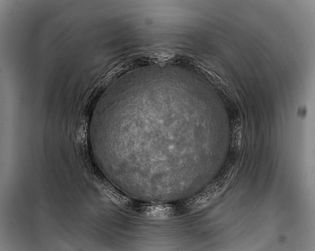 X0000101160274200807111036