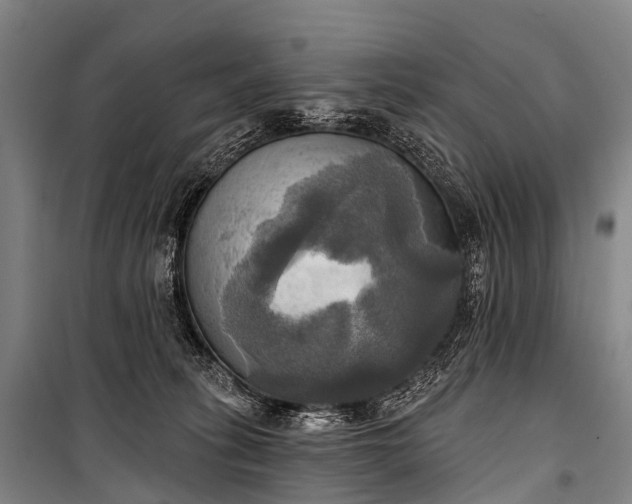 X0000101160275200807111036