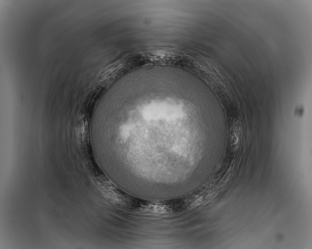 X0000101160276200807111036