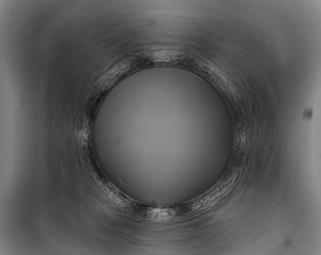 X0000101160277200807111036