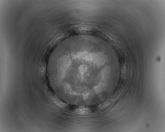 X0000101160278200807111036