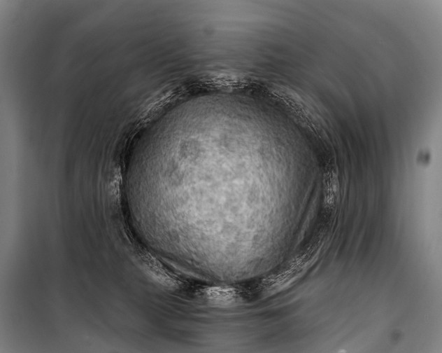 X0000101160279200807111036