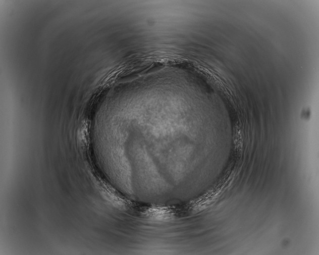 X0000101160280200807111036