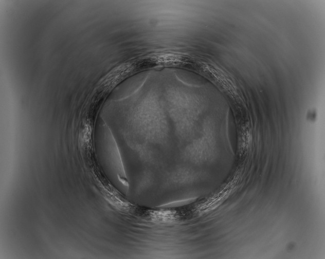 X0000101160281200807111036