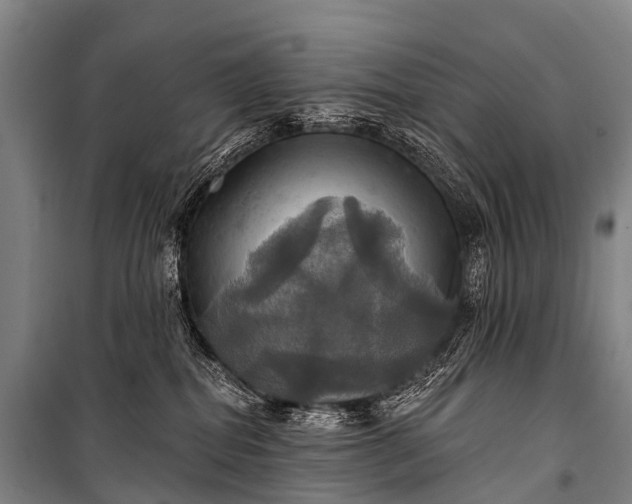 X0000101160282200807111036