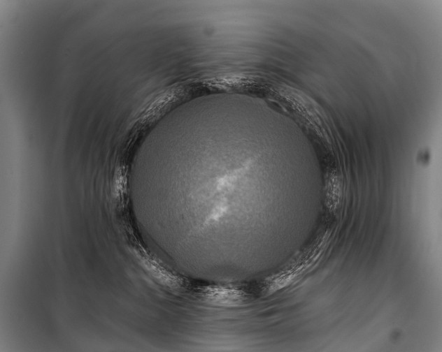 X0000101160284200807111036