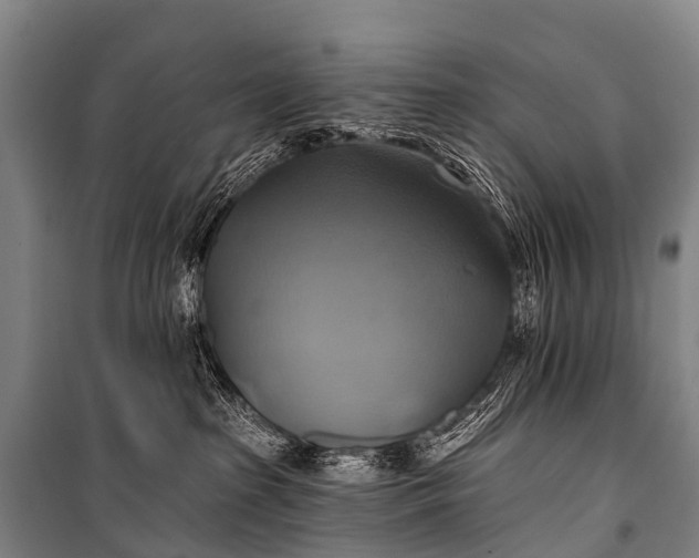 X0000101160285200807111036