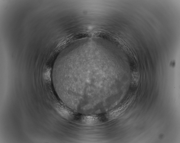 X0000101160286200807111036