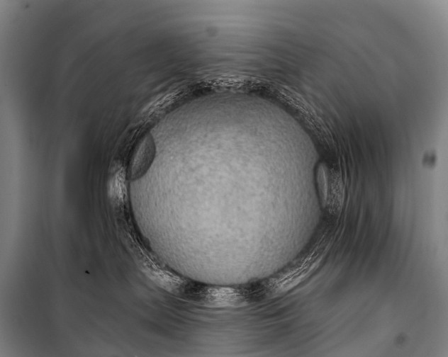 X0000101160287200807111036