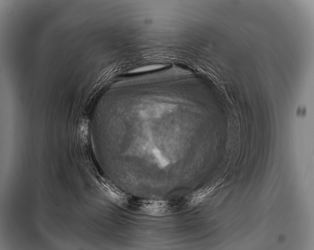 X0000101160288200807111036