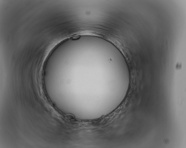 X0000101160289200807111035